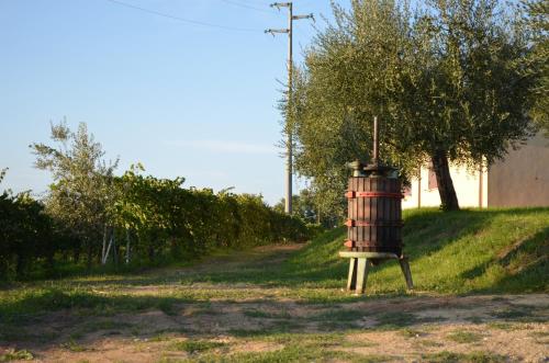 a barrel sitting on the side of a dirt road at Agriturismo Casale Contessa in Montebuono