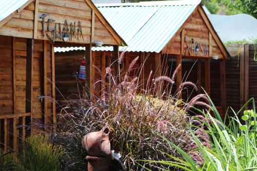 Zahrada ubytování 1322 Backpackers International