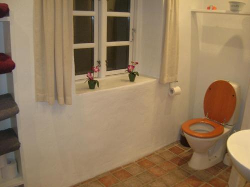 a bathroom with a toilet and a window with flowers at Vranum Guesthouse in Viborg