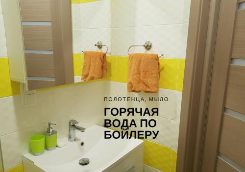 a bathroom with a sink and a mirror at Комфортні мині-апартаменти студіо на Юлії Здановської in Kyiv