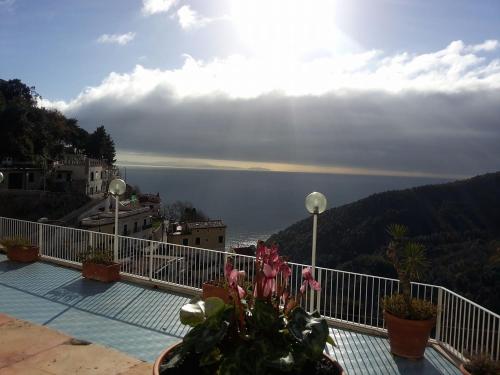 a view of the ocean from a balcony with flowers at Le Terrazze di Cristina in Vietri sul Mare