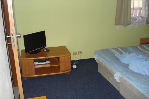 a bedroom with a bed and a television on a table at Penzion Seidl in Rokytnice nad Jizerou