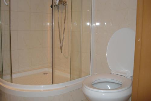 a bathroom with a shower and a white toilet at Penzion Seidl in Rokytnice nad Jizerou