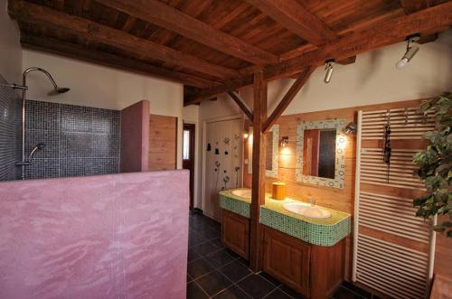 マランにあるLa Ferme de Fossillonのバスルーム(バスタブ、シンク、鏡付)