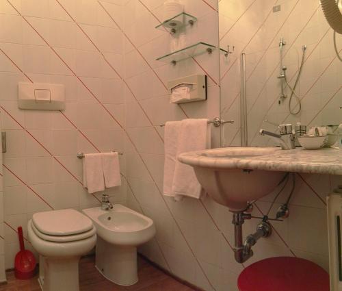 a bathroom with a toilet, sink, and mirror at Hotel Tosco Romagnolo in Bagno di Romagna