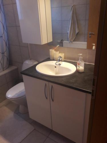 uma casa de banho com um lavatório e um WC em Comfortable Bedrooms - King size beds em Hafnarfjördur