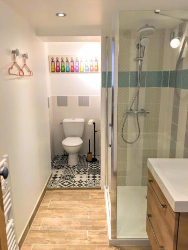 une salle de bain avec une douche avec des toilettes et un lavabo dans l'établissement la maisonette Arelo, à Couffy