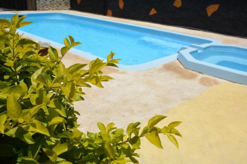 a swimming pool next to a green plant at Ashmara Villa & Studio in Flic-en-Flac