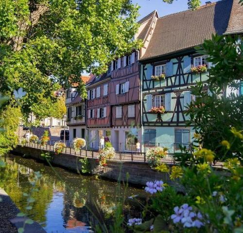 At home in the center of Colmar