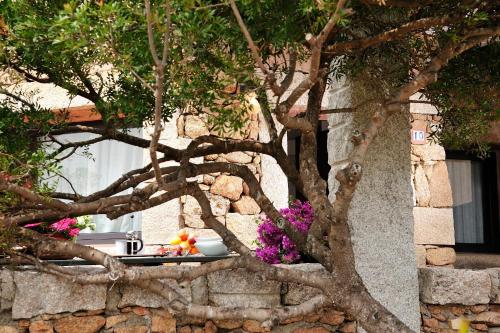 a table under a tree with a cake and flowers at Residence L'Ea di Lavru - Appartamenti Mono-Bilo-Trilocali in Porto San Paolo