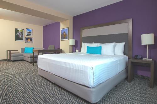 a bedroom with a large bed and a purple wall at CHN Hotel Monterrey Aeropuerto, Trademark by Wyndham in Monterrey