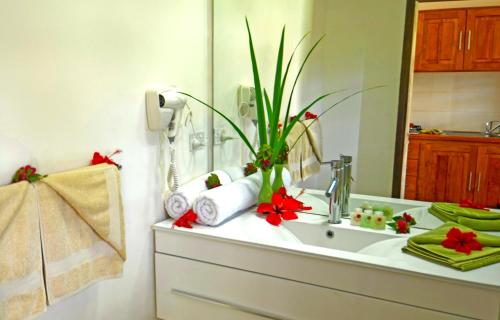 a bathroom with a sink and a mirror at Tropicana Lagoon Apartments in Port Vila