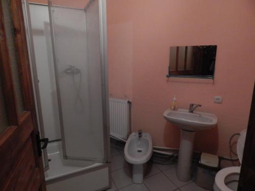 a bathroom with a shower and a sink and a toilet at Садиба Достаток in Kolomyya