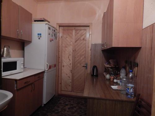 a kitchen with a white refrigerator and a wooden door at Садиба Достаток in Kolomiya