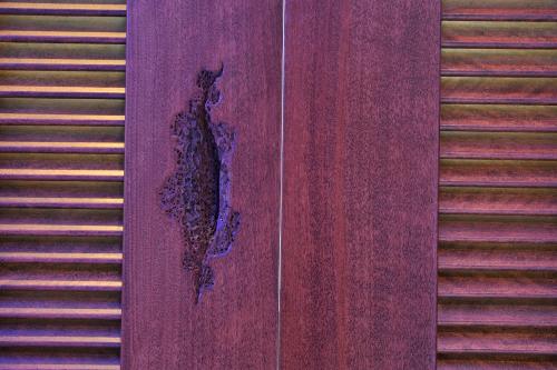 a purple door with a painting of a dog on it at Residence L'Ea di Lavru - Appartamenti Mono-Bilo-Trilocali in Porto San Paolo