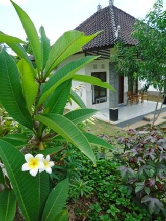 a small house with a white flower in front of it at Bingin Family Bungalow in Uluwatu