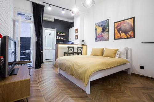 um quarto com uma cama e uma televisão em Apartment Eugen em Novi Sad