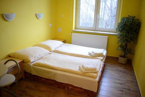 a bedroom with a bed and a window at Penzion Čertovy Kameny in Jeseník