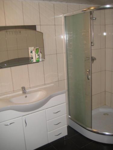 a bathroom with a sink and a shower at Подих Карпат in Slavske
