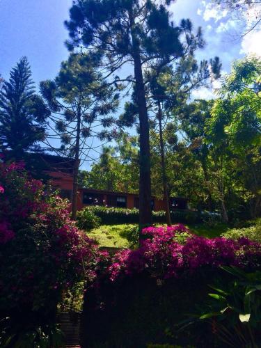 a garden with pink flowers in front of a building at Casa Fazenda Inglesa Petrópolis RJ in Petrópolis