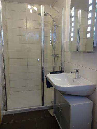 a bathroom with a glass shower and a sink at Haus Seeliger im Fichtelgebirge in Brand