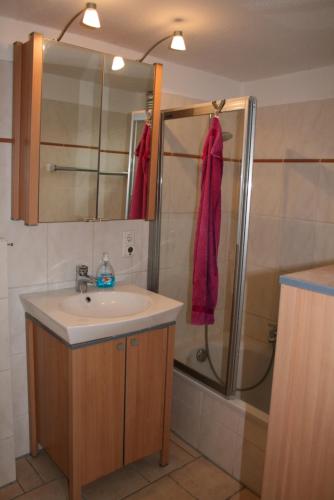 ein Bad mit einem Waschbecken und einer Dusche in der Unterkunft Haus am Priwallstrand in Travemünde
