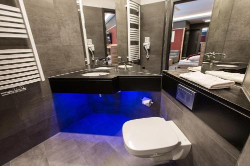 a bathroom with a toilet and a sink at Villa Winterpol in Karpacz