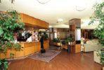 a person standing in a living room with plants at Park Hotel Galileo in Reggello