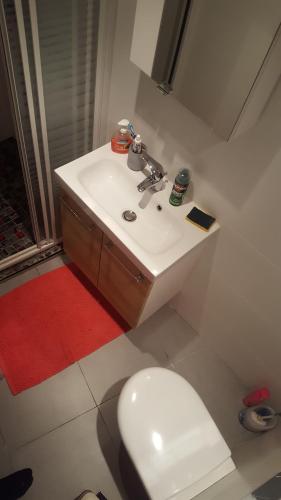 a bathroom with a white sink and a toilet at Villa Excelsior in Monte Carlo