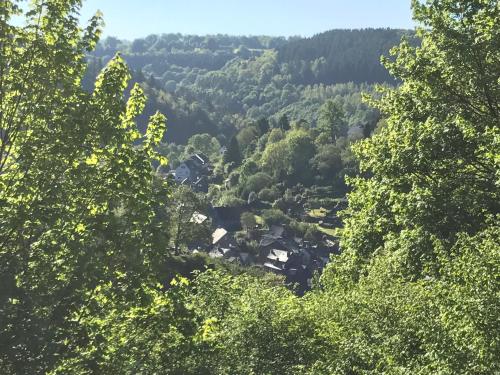 a view of a valley through the trees at Eifelerhof hotel Monschau in Monschau