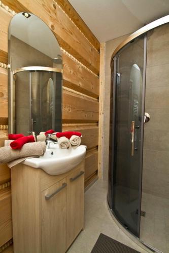 a bathroom with a sink and a shower at Dworek na Klinie in Kościelisko