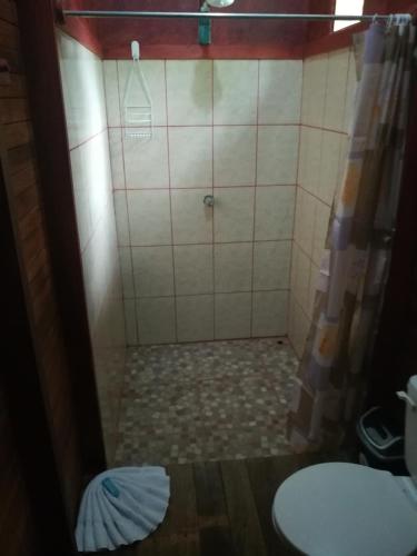 une salle de bain avec une douche avec des toilettes et un lavabo dans l'établissement Rincon Verde, à Bijagua