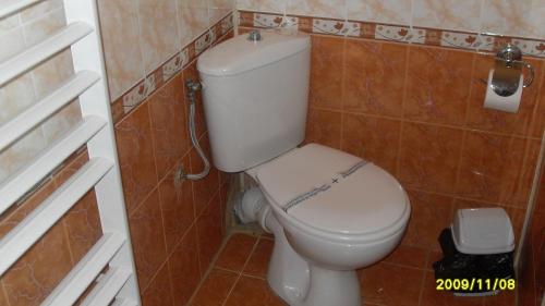 a bathroom with a white toilet in a room at Germanea Hotel in Sapareva Banya