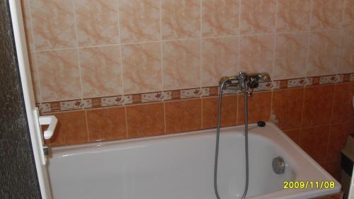 a bath tub in a bathroom with a shower at Germanea Hotel in Sapareva Banya
