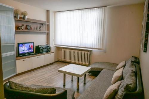 a living room with a couch and a tv at Lozenets Apartment in Sofia