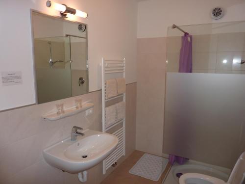 a bathroom with a sink and a toilet and a mirror at Appartement Windisch in Tirolo
