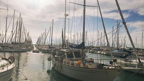 a group of boats docked in a harbor at BYPILLOW Mumm in Vilanova i la Geltrú
