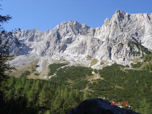 a view of a mountain with trees in front of it at Hotel Garni Haus Anita in Liesing