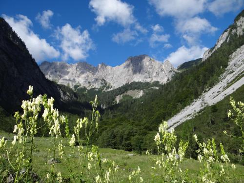 a view of the mountains from a field at Hotel Garni Haus Anita in Liesing