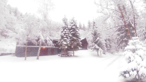 a snow covered yard with a house and trees at Chata ZEBRA in Ružomberok