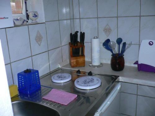 eine Küchentheke mit zwei Tellern und einem Waschbecken in der Unterkunft Serene Apartment with Private Terrace in Wismar in Wismar