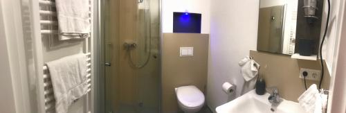 La salle de bains est pourvue de toilettes, d'un lavabo et d'une douche. dans l'établissement Zur Fledermaus, à Bacharach