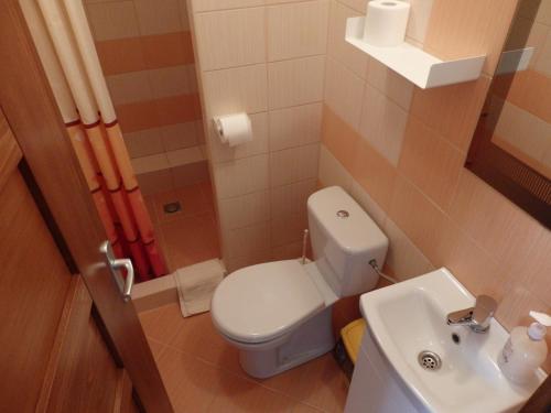 La petite salle de bains est pourvue de toilettes et d'un lavabo. dans l'établissement Pivnička pod Čachtickým hradom, à Čachtice