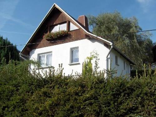 a white house with a window and plants on it at Ferienhaus Amarell in Breitenbach