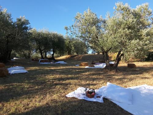 Aed väljaspool majutusasutust La Veronica Exclusive Chianti Resort