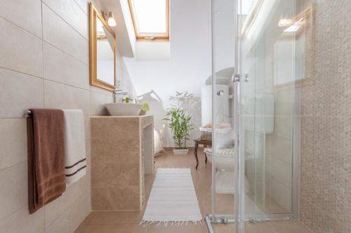 a bathroom with a glass shower and a toilet at Apartments Mario in Pula
