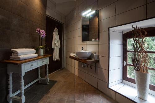 La salle de bains est pourvue d'un lavabo et d'une fenêtre. dans l'établissement Domaine de Palats, à Laure-Minervois