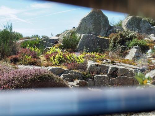a garden with rocks and plants at Seaview in Pleubian