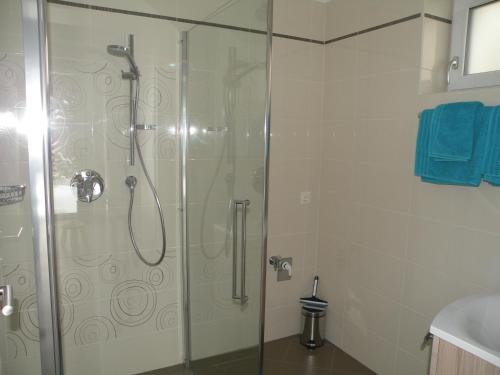 baño con ducha y puerta de cristal en Birnbacher-appartement, en Sankt Veit im Pongau