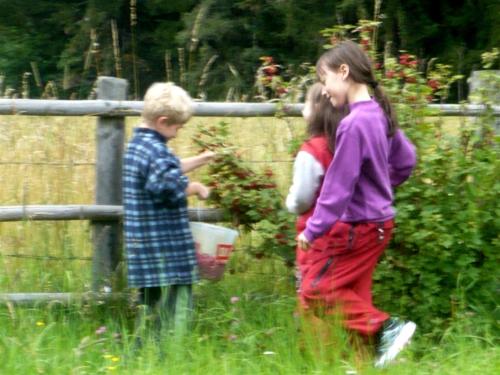 two children walking in the grass near a fence at Gästehaus Jäger in Mariapfarr